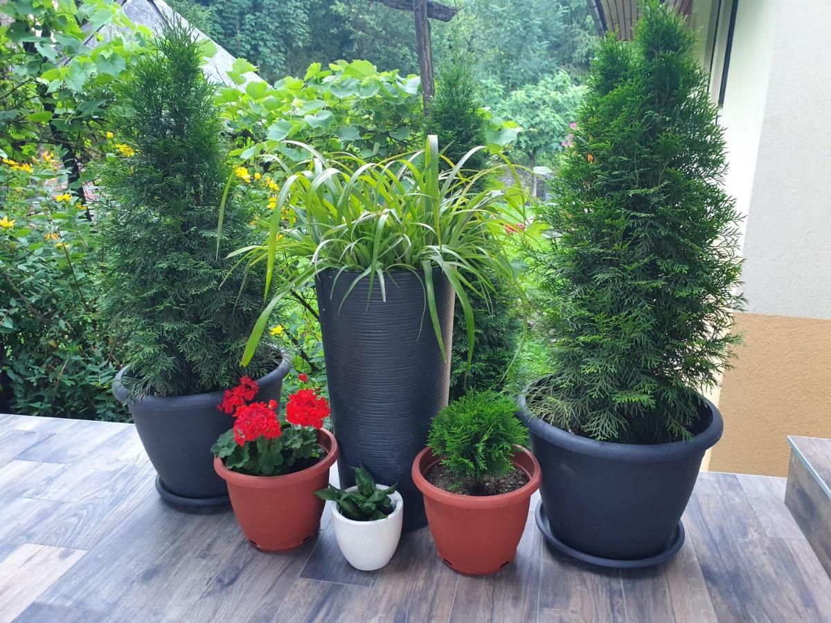 Apartma Maell 1 Most na Soči Kültér fotó